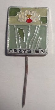 ZNACZEK PRZYPINKA ROŚLINY KWIATY GRZYBIEŃ
