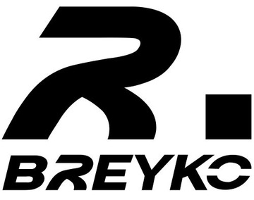 ДИСКИ, КОЛОДКИ, ЗАДНИЕ ПОДШИПНИКИ +АБС RENAULT LAGUNA 2 II