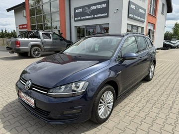 Volkswagen Golf VII Variant 1.4 TSI BlueMotion Technology 140KM 2014 Volkswagen Golf DSG*Navi*Kombi, zdjęcie 1