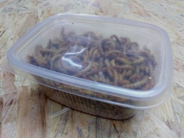 MEALWELL 250мл С СОБСТВЕННОЙ ФЕРМЫ (в подарок)