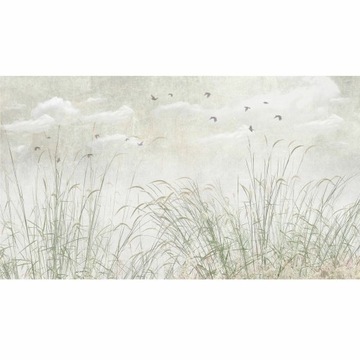 Mural Green Grass 500 x 280 cm delikatna struktura