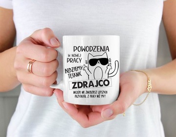 КРУЖКА + ПОДУШКА подарок ПРОЩАНИЕ С РАБОТЫ УХОД С РАБОТЫ кот ПРЕДАТЕЛЬ