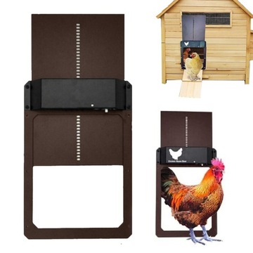 АВТОМАТИЧЕСКИЙ ДВЕРЬ ДЛЯ КУРИЦЫ SMART ДВЕРЬ ДЛЯ КУРИЦЫ ДАТЧИК СВЕТА