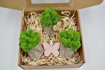 Весенний набор крабовых лесов