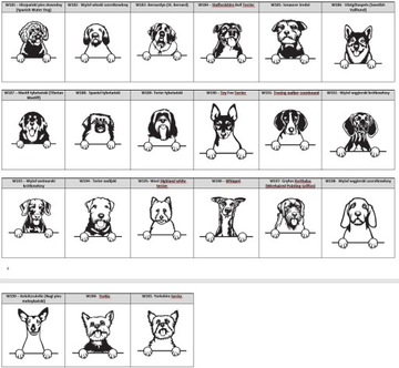 ИДЕНТИФИКАЦИОННАЯ СУМКА ДЛЯ СОБАК - ВСЕ ПОРОДЫ XL