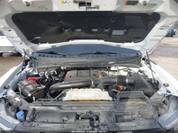 Ford 2024 Ford F150 Raptor 2024 3.5 Benzyna 450KM, zdjęcie 9