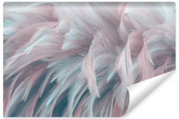 Fototapeta Ścienna Kolorowe PIÓRA Dekor 3D 368x254
