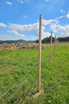 Kantówka dąb 5x10 tarcica liściasta płot ogrodzenie słupek dębowy 2,5m