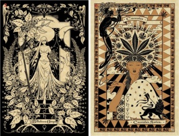 Магический ботанический оракул