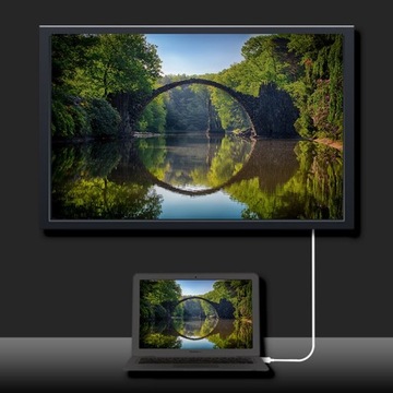 Альтернативный режим Qoltec DisplayPort | USB 3.1 тип С