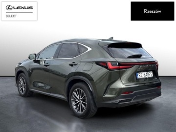 Lexus NX II SUV Facelifting 2.5 350h 243KM 2024 Lexus NX 350h Prestige AWD II (2021-) NX350h Prest, zdjęcie 2