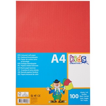 Papier kolorowy ksero A4 20 x 5 Kolorów 100 kartek - Kolory intensywne