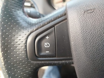 Renault Megane III Coupe Facelifting 2.0 16v 265KM 2013 RENAULT MEGANE III coupe (DZ0/1_) 2.0 R.S. 265 KM, zdjęcie 28