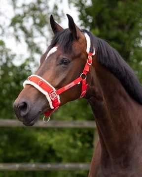 QHP Kawecan BLACK czarny [R: Cob]