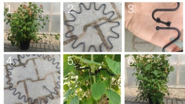 20x ЗАЖИМ ДЛЯ ПОДДЕРЖКИ ЦВЕТОВ, ПОДДЕРЖИВАЮЩИЕ ЗАЖИМЫ ДЛЯ РАСТЕНИЙ, ПРОЧНЫЕ, ПРОЧНЫЕ