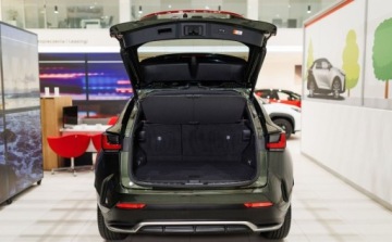 Lexus NX II SUV Facelifting 2.5 350h 243KM 2024 Lexus NX 350h F Sport AWD 2.5 Hybryda 243KM, zdjęcie 24