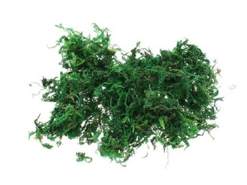 ЛЕС В СТЕКЛЯННОЙ БАНКЕ НАБОР «МИКРОКЛИМАТ» 13 ШТ. УКРАШЕНИЕ БАНКИ УКРАШЕНИЕ ДОМА