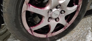 Мойка дисков RedNox BLEEDING RIM 5L Proelite