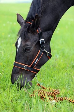 KANTAR MANMAT STABLE HALTER NIEBIESKI L