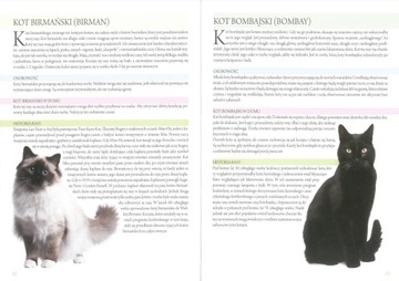 Атлас кошек – коллективная работа