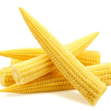 Mini Małe Kolby Kukurydzy Mała Kukurydza Do Smażenia Na Woku Young Corn 425