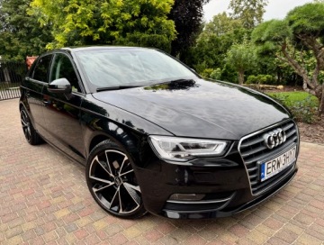 Audi A3 8V Cabriolet 2.0 TDI clean diesel 150KM 2016 Audi A3 2.0TDI 150 KM Full Led Android Auto Kamera przód/tył Alu 18/17, zdjęcie 10