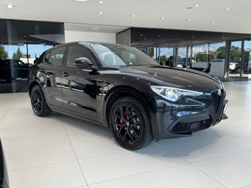 Alfa Romeo Stelvio SUV Facelifting 2.0 Turbo 280KM 2020 Alfa Romeo Stelvio Veloce Q4 / 1 właściciel / Salo, zdjęcie 4
