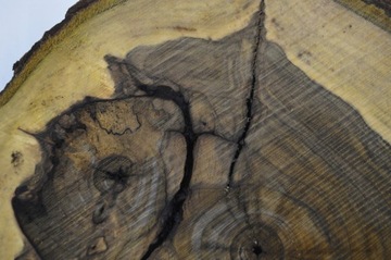 Доска Patera Slice 46x42Gr6 Орехового дерева