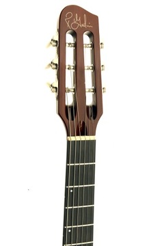 Электроакустическая акустика Godin Multiac Spectrum, потрясающий флагман Godin