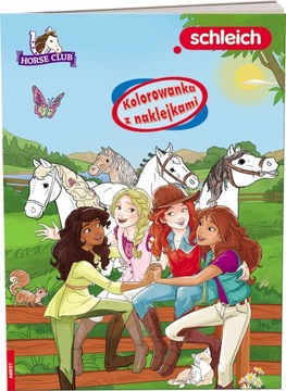 Książeczka edukacyjna AMEET Kolorowanka + naklejki