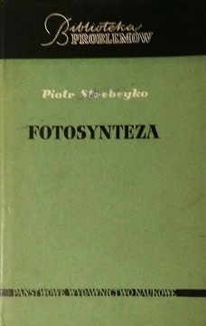 Fotosynteza Piotr Strebeyko SPK