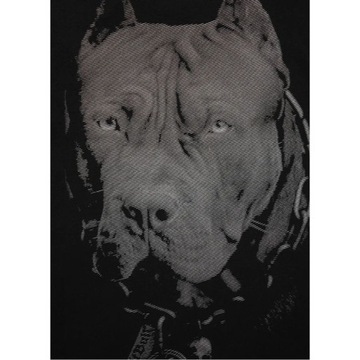 KOSZULKA MĘSKA PIT BULL T-SHIRT PODKOSZULEK NA CO DZIEŃ PITBULL SPORTOWA