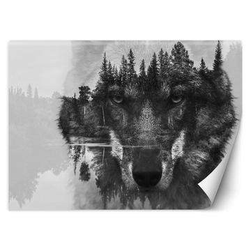 FOTOTAPETA SALON Wilk Mgła Las Zwierzęta 200x140
