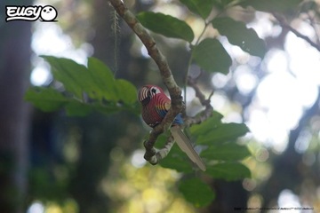 ПАЗЛ ПОПУГАЙ ЭКО 3D EUGY