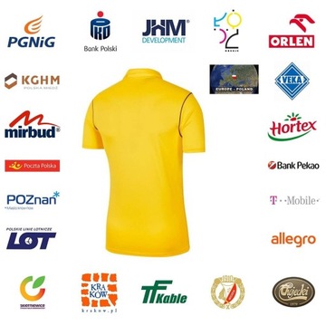 Koszulka męska Nike M Dry Park 20 Polo żółta BV6879 719 Koszulka męska Nike