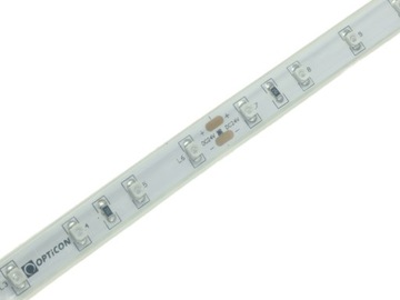 TAŚMA LED 24V DC Niebieska 4,8W/m 300 SMD 3528 IP68 10mm OPTICON