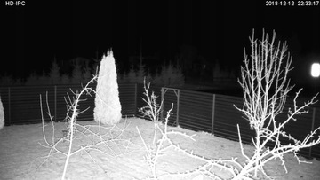 Купольная IP-камера с разрешением 5 Мп и PoE для мониторинга