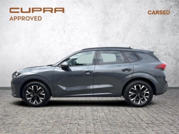 Cupra Terramar SUV 1.5 eTSI 150KM 2025 Cupra Terramar 1.5TSI 150KM DSGl Gwarancja, HUD, K, zdjęcie 2