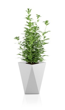Donica Monumo Vaso biała/wewnętrzna półka