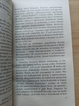 Виарусы. Огненный Курас - Ян Щерковский