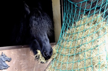 СЕТОК ДЛЯ СЕНА ДЛЯ ЛОШАДЕЙ 1 х 1 м (около 4,5 см)
