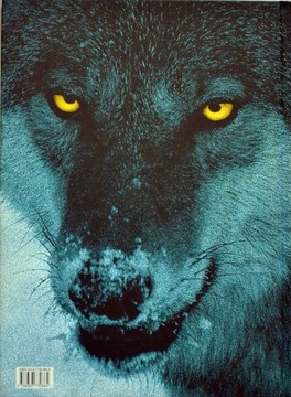 Вилк Тадеуш Будзинский Лех Маевски