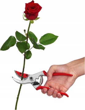 SEKATOR FELCO 4 C&H DO RÓŻ Z PRZYTRZYMYWACZEM