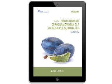 Разработка программного обеспечения для полностью