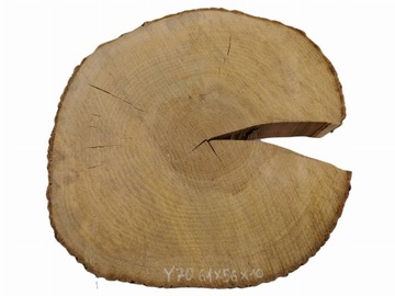 Plaster Jesionowy 61x56 cm Różne Rozmiary Jesion