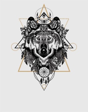 FOTOTAPETA 200x254 tapeta flizelina TRIBAL #F117
