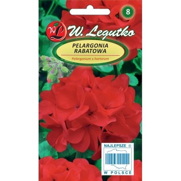 PELARGONIA RABATOWA GAMA F1 CZERWONA 0,05G