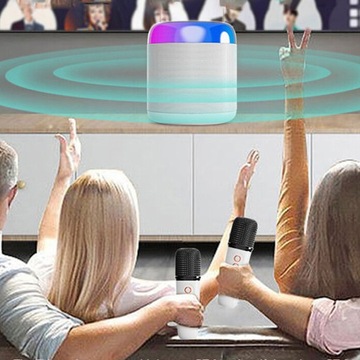 ПОРТАТИВНАЯ КАРАОКЕ-ДИНАМИКА С МИКРОФОНАМИ, BLUETOOTH 5.0, СВЕТОДИОДНОЙ ПОДСВЕТКОЙ