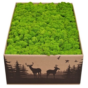 Мох ягель ПРЕМИУМ, живой, декоративный, нетто 2кг.