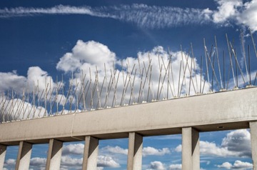 САМЫЕ ТОЛСТЫЕ СИЛЬНЫЕ ШИПЫ ДЛЯ ПТИЦ, ГОЛУБИ, ШИП ИЗ НЕРЖАВЕЮЩЕЙ СТАЛИ ПРОТИВ ПТИЦ